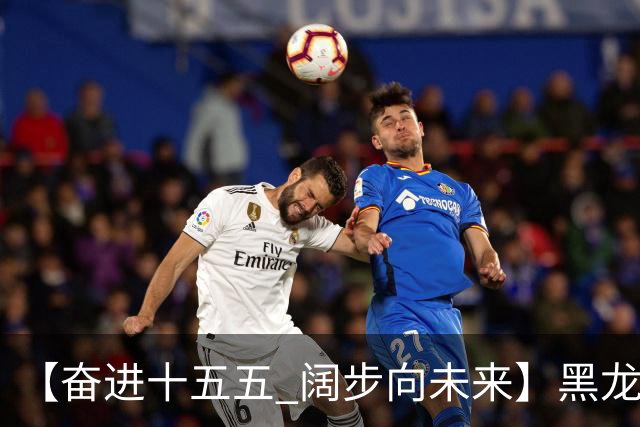 【奋进十五五 阔步向未来】黑龙江农机产业正加速迈向高端化智能化绿色化