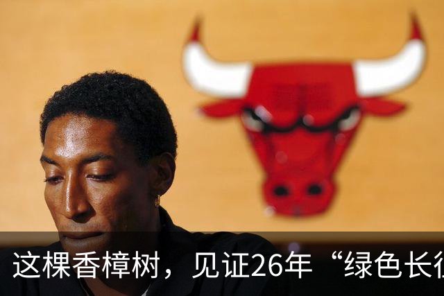 这棵香樟树，见证26年“绿色长征”